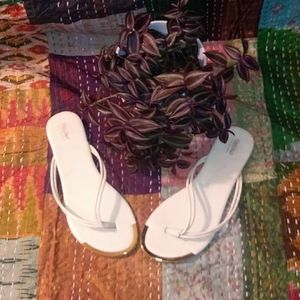 Cream flip flops with gold toe